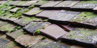 Stockgrove roof repair costs